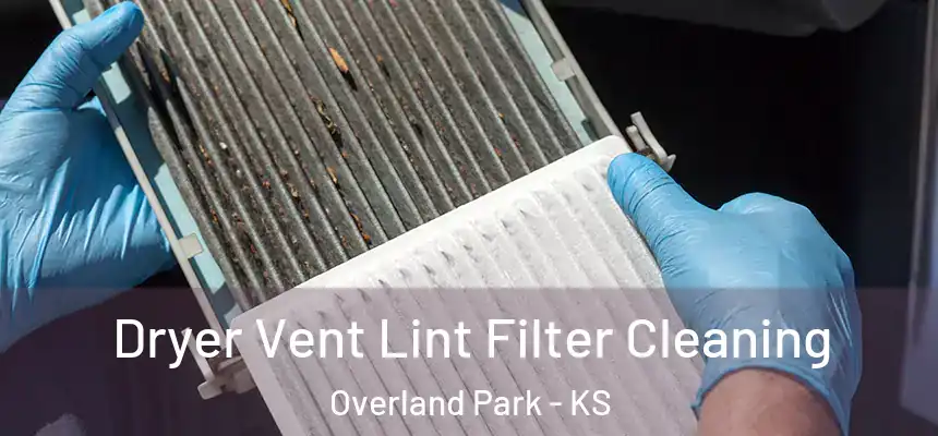  Dryer Vent Lint Filter Cleaning Overland Park - KS