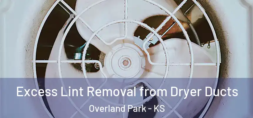 Excess Lint Removal from Dryer Ducts Overland Park - KS