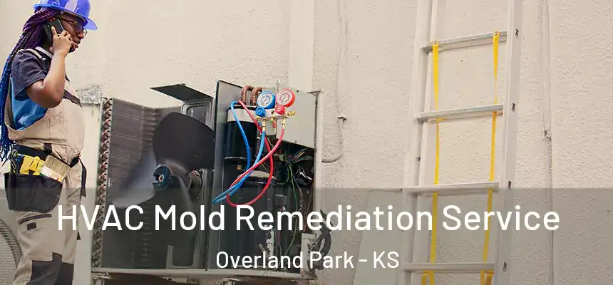  HVAC Mold Remediation Service Overland Park - KS