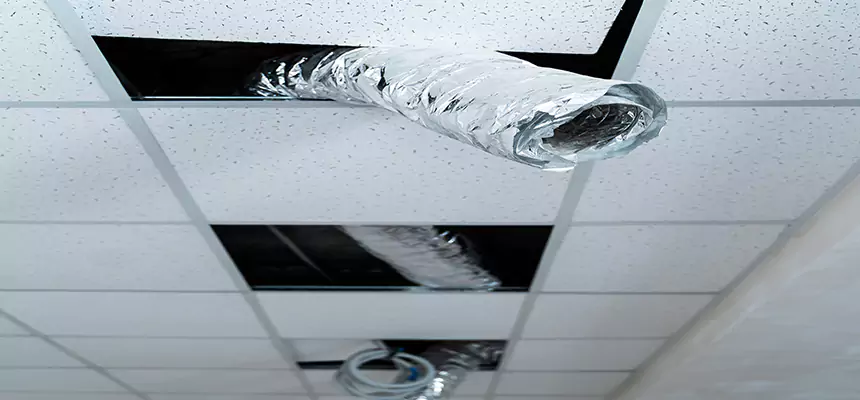 Affordable HVAC Sanitizing After Pest Removal in Overland Park