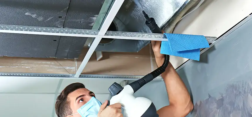 Our Air Duct Rodent Removal Services in Overland Park, KS