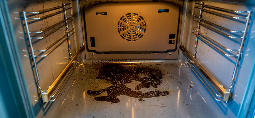 Our Dryer Vent Mold Cleaning Services in Overland Park, KS