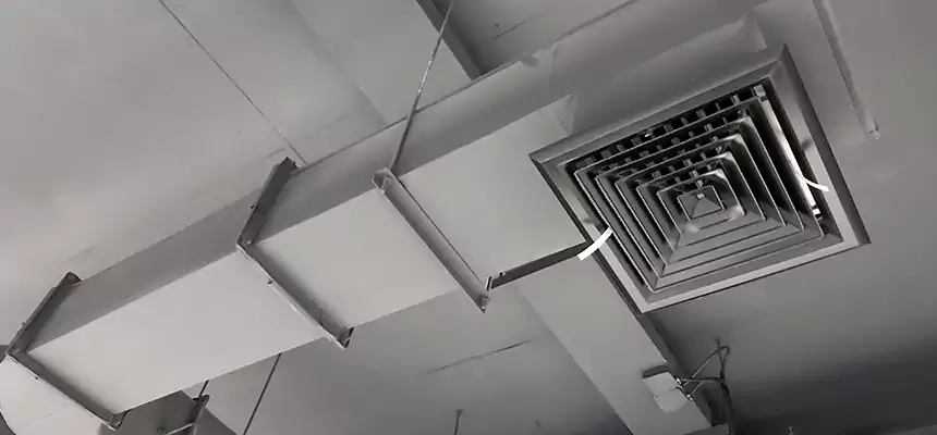 Our Pest Removal From Ducts Services in Overland Park, KS