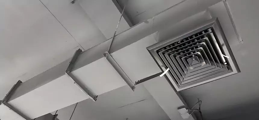 Our Rodent Droppings In Vents Services in Overland Park, KS