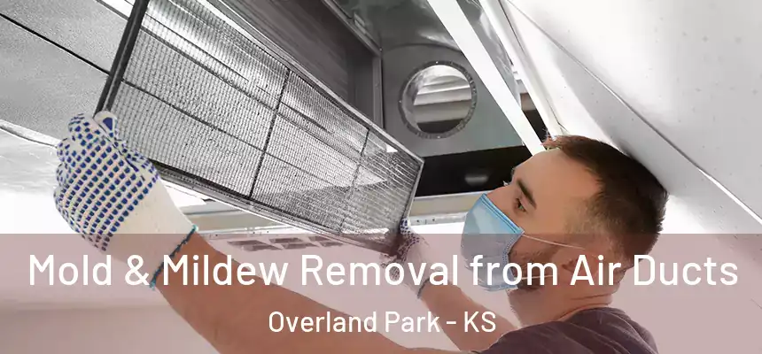  Mold & Mildew Removal from Air Ducts Overland Park - KS