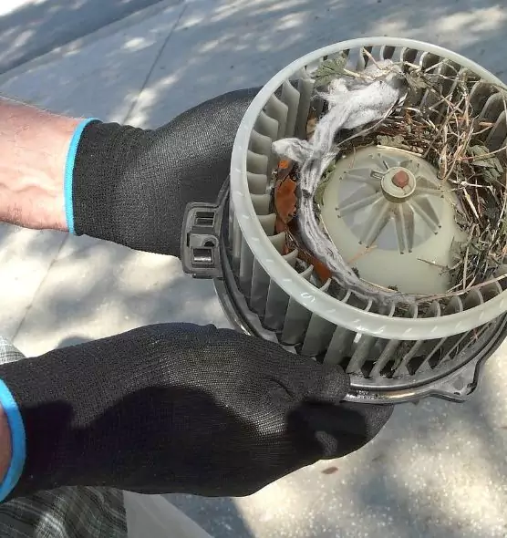 About Air Duct Rat Removal in Overland Park, KS