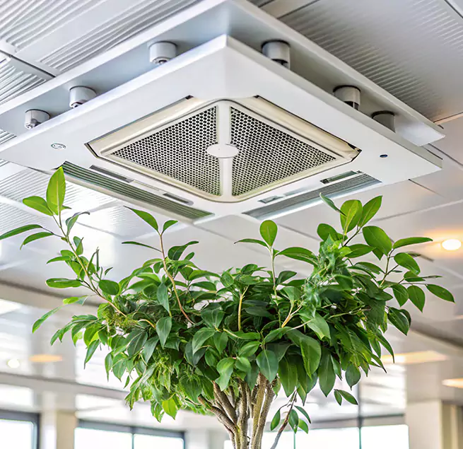 Why Homeowners & Businesses Trust Us in Overland Park, KS?